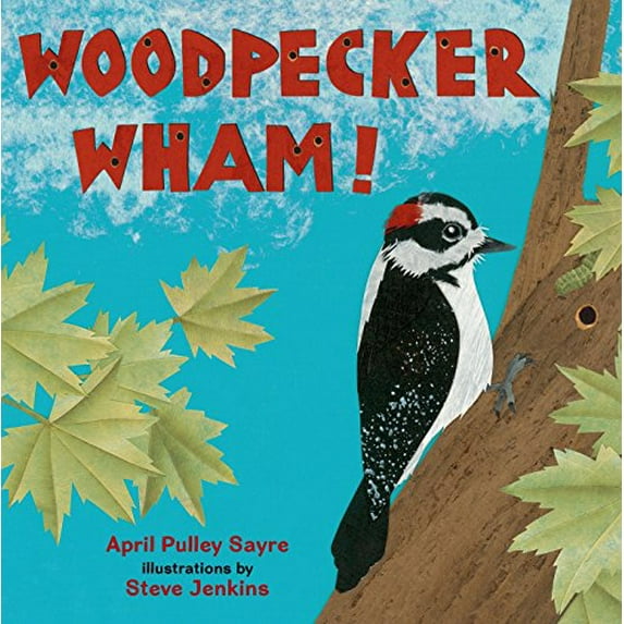 Pre-Owned Woodpecker Wham! (Hardcover) 0805088423 9780805088427