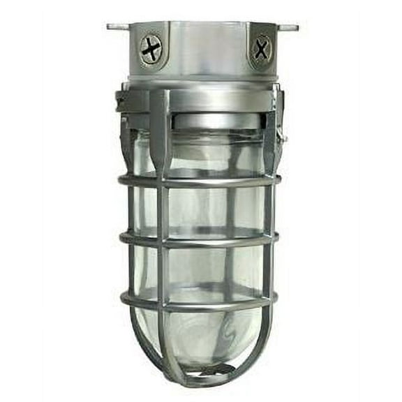 Woods L1706BS Traditional 100W Incandescent Weather Industrial Light - Brushed Steel