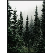 Woods Poster Wall Art, Modern Wall Decor For Living Room Bedroom, 8x12 UNFRAMED