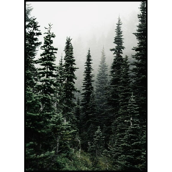 Woods Poster Wall Art, Modern Wall Decor For Living Room Bedroom, 8x12 UNFRAMED