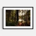 thumbnail image 1 of In the Woods at Puffers Pond, Amherst 01 - Amherst Massachusetts Photography Forest Nature Woodland Lake Autumn Scenic Wilderness Black Framed Wall Art Print 16 x 24 inches, 1 of 4