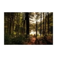 thumbnail image 1 of In the Woods at Puffers Pond, Amherst 01 - Amherst Massachusetts Photography Forest Nature Woodland Lake Autumn Scenic Wilderness Unframed Wall Art Print 5 x 7 inches, 1 of 7
