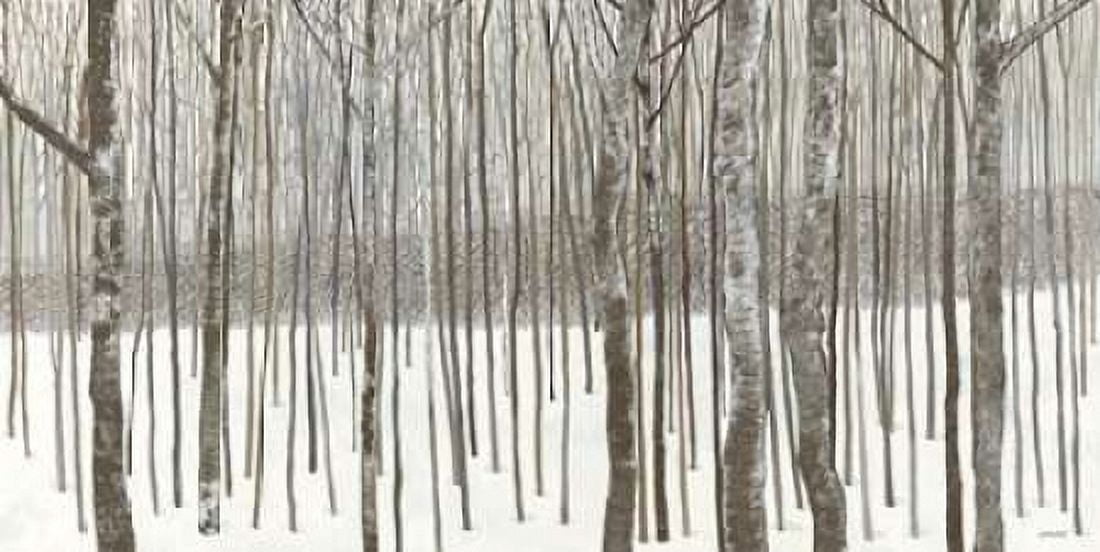 Woods in Winter Canvas Art - Kathrine Lovell (24 x 48)