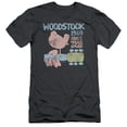thumbnail image 1 of Woodstock 50 Years Dove S/S Adult 30/1 T-Shirt Charcoal, 1 of 1