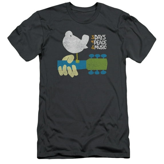 Woodstock Perched S/S Adult 30/1 T-Shirt Charcoal