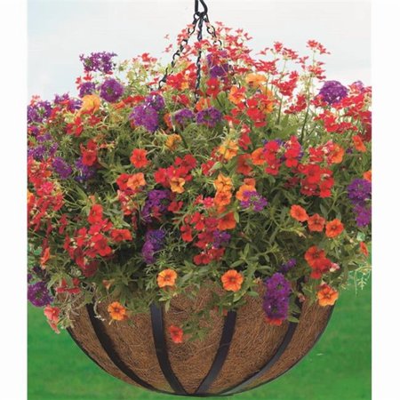 Woodstream HPF14-B 14 Inch English Flatwire Hanging Basket