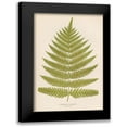 thumbnail image 1 of Woodwardia Radicans 13x18 Black Modern Framed Museum Art Print Titled - Art Licensing Studio, 1 of 5