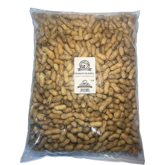 Bird Peanuts Shell Peanuts Shell
