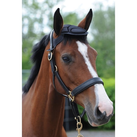 Woof Wear Horse Head Bumper Comfortable Black