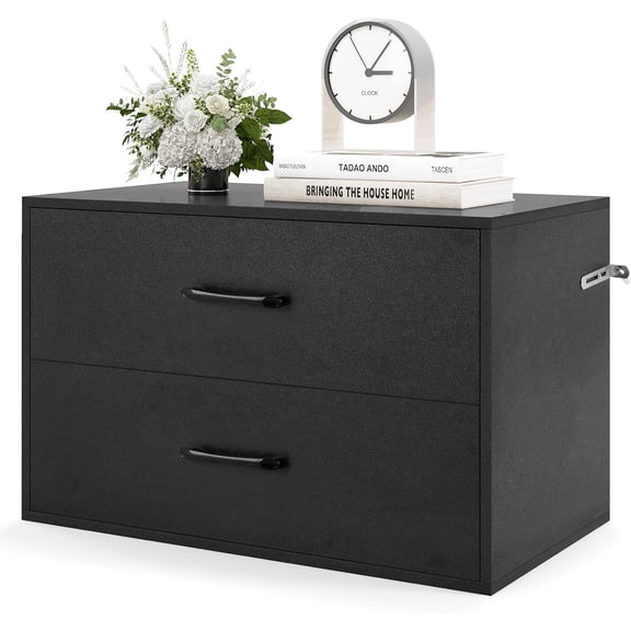WoofPaw Stackable Drawers for Closet, 2-Drawer Short Dresser, Multi-Purpose Storage Cube with Anti-Scratch Pads, Anti-Tipping Devices, Storage Cabinet for Living Room, Entryway, Home Office (1,Black)