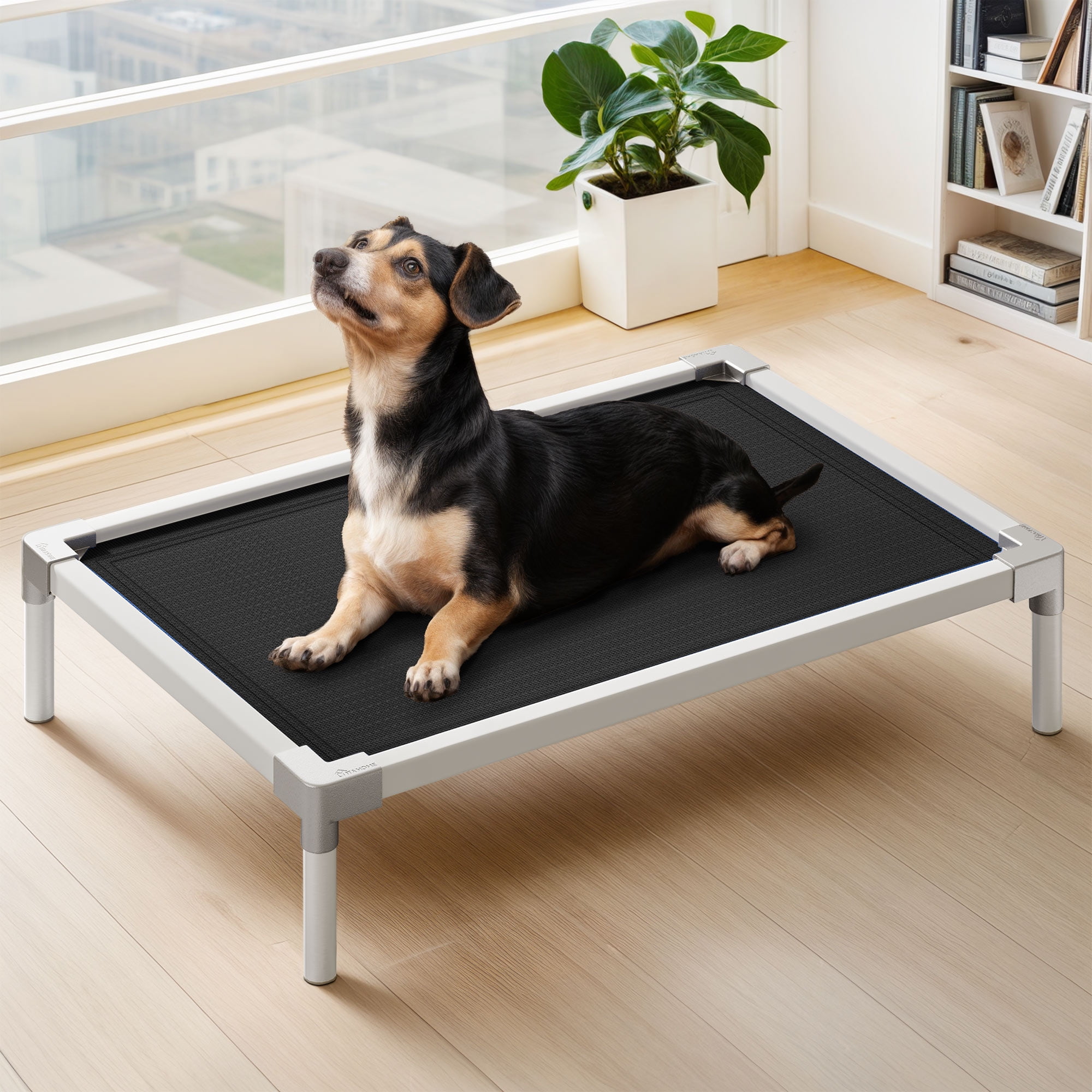 ModFusion Elevated Dog Bed, Medium, Black Chew-Proof, Aluminum