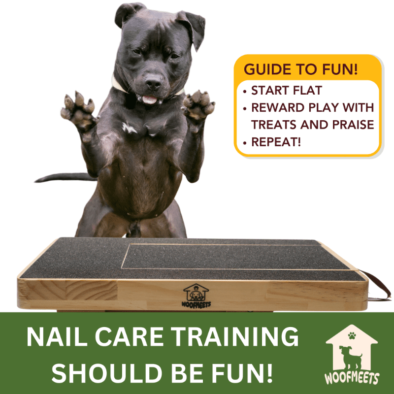 Woofmeets Dog Nail Scratch Board Premium Dog Scratching Pad for Nails