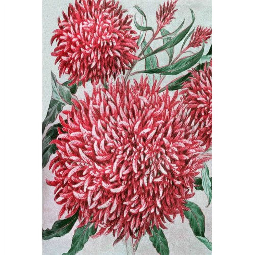 "Wool Flowers" Painting Print on Wrapped Canvas