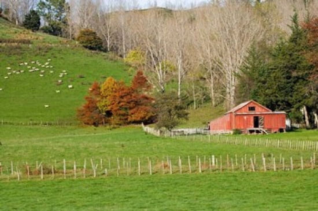 Wool Shed and Farmland Kawhatau Valley Rangitikei North Island New Zealand Canvas Art - David Wall DanitaDelimont (34 x 23)