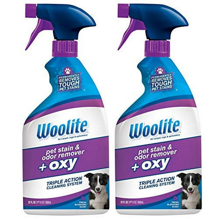 Woolite Pet Stain & Odor Remover, Free & Clear - 22 fl oz