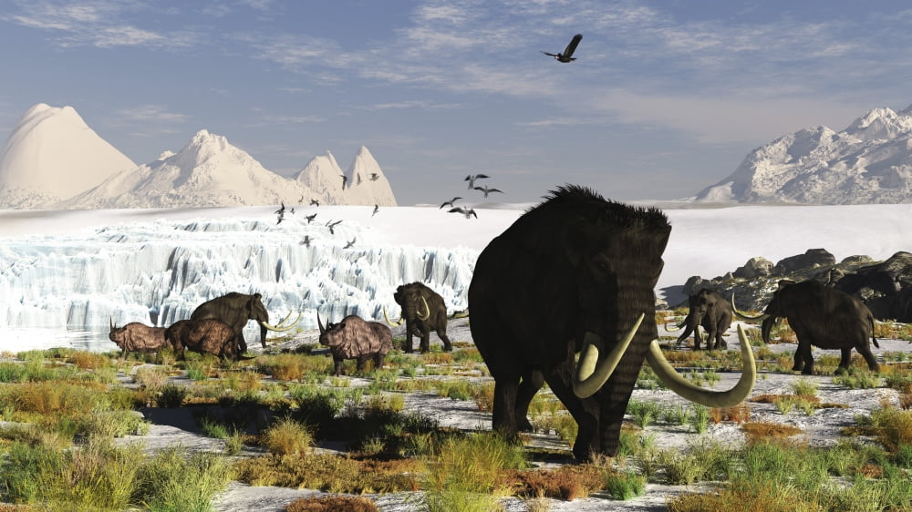 Woolly mammoths and woolly rhinos in a prehistoric landscape Canvas Art - Arthur DoretyStocktrek Images (37 x 21)