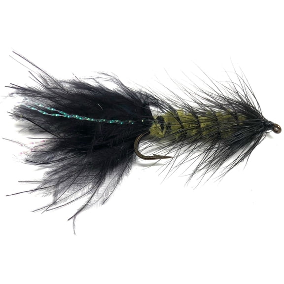 Wooly Bugger Fly Fishing Flies for Trout and Other Freshwater Fish - One Dozen Wet Flies in Various Patterns - Multi Color Many Sizes