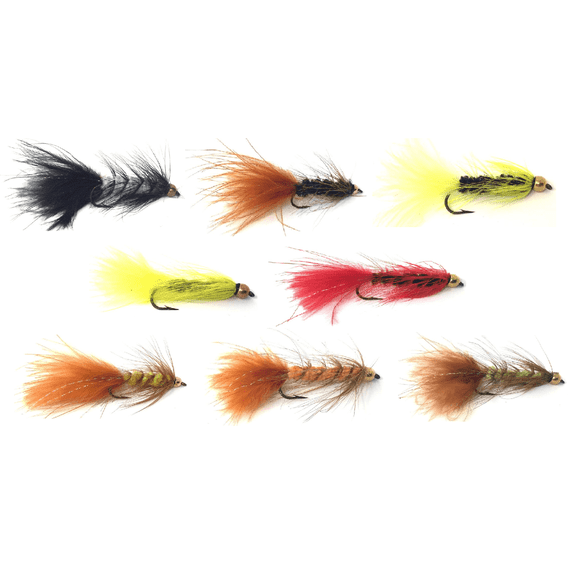 Wooly Bugger Fly Fishing Flies for Trout and Other Freshwater Fish - One Dozen Wet Flies in Various Patterns - Multi Color Many Sizes