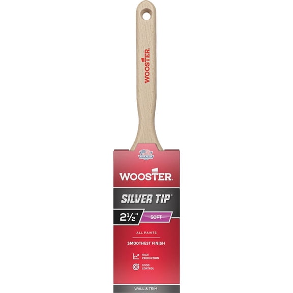 Wooster 912-0052200024 5220-2 1/2 Paint Brush, 2-1/2-Inch, 2.5 Inch, Silver,White