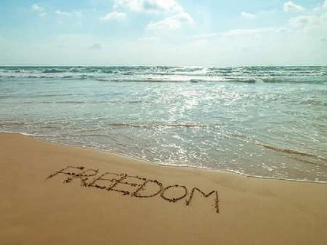 Word Freedom written in sand on the beach Canvas Art - Assaf Frank (18 x 24)