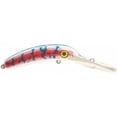 thumbnail image 1 of Worden's Lures Mag Lip 3.0, 1 of 1