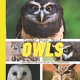 thumbnail image 1 of Wordless Picture Books for Toddlers Toddler Book About Owls: A Picture Book for Preschoolers, (Paperback), 1 of 1