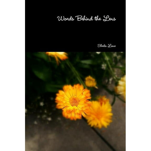 Words Behind the Lens, (Paperback)