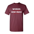 thumbnail image 1 of Words Cannot Express How Much I Don't Care Funny Humor DT Adult T-Shirt Tee, 1 of 2