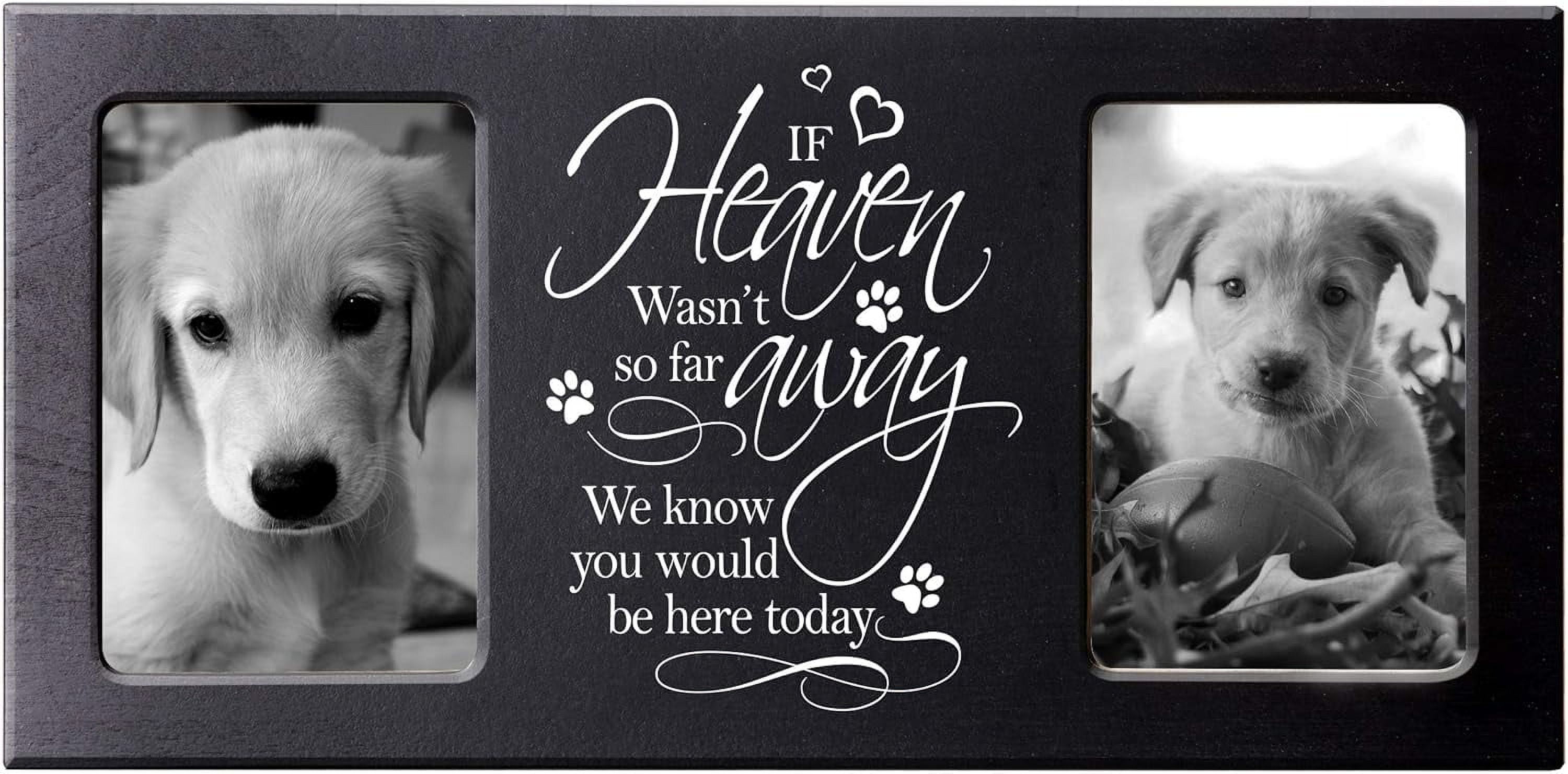 Words of Condolences Message Quotes for Loss of a Pet Bereavement