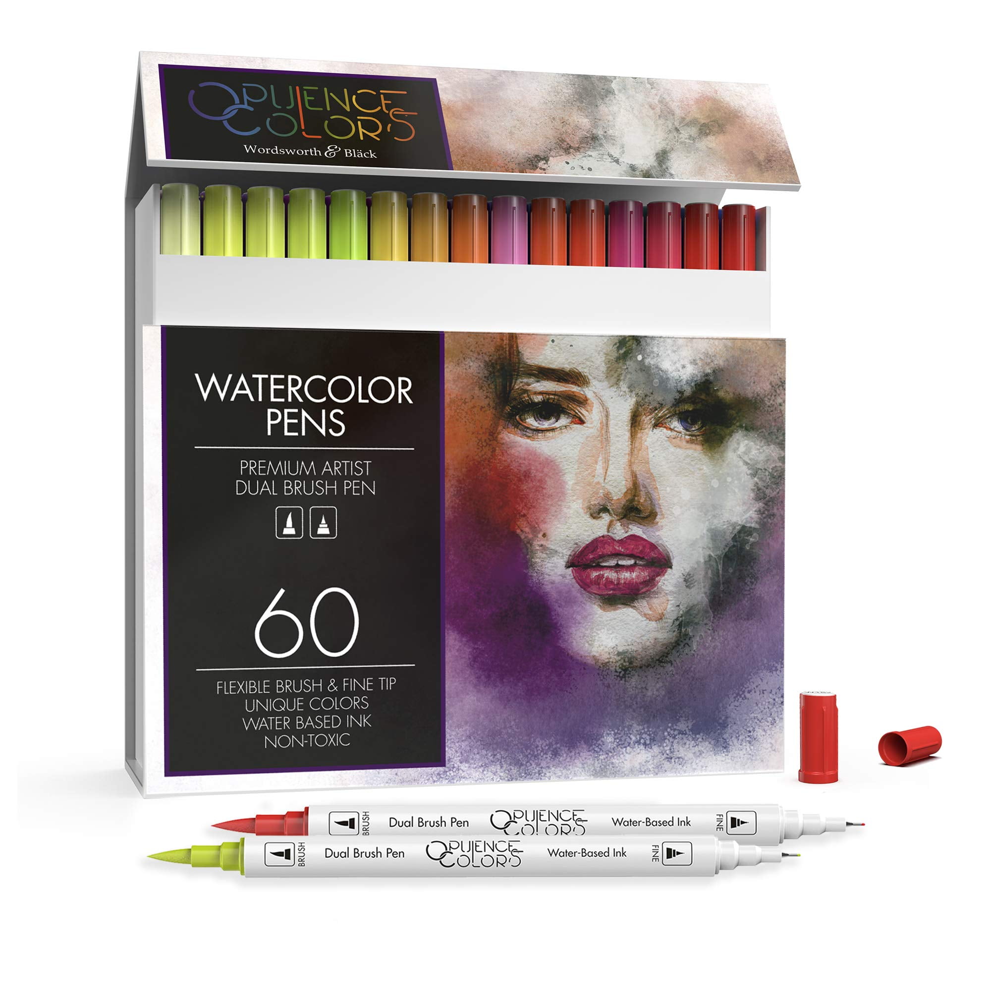 Wordsworth and Black 60 Pack Dual Tips, Brush & Chisel, Paint Markers Flexible Brush Tip Watercolor