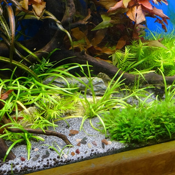 Worgeous 1 Set Betta Beads for Fish Tank with Small Pebbles Stream Stone Style