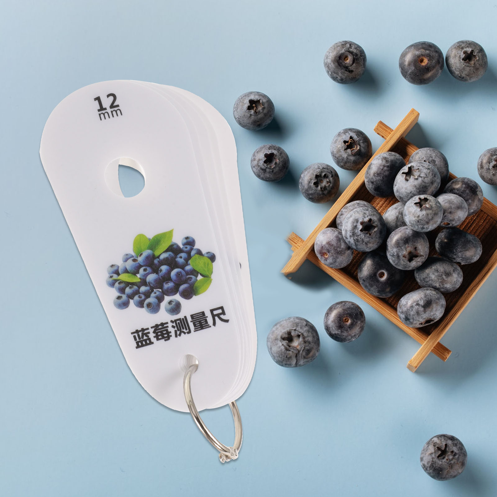 Fruit Ruler Worgeous 1 Set of Fruits Blueberry Measuring Device Fruits Measuring ...