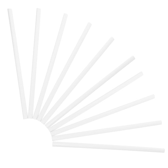 Worgeous 10 Pcs Information Book Folder Supplies Bars Presentation Binders Card White