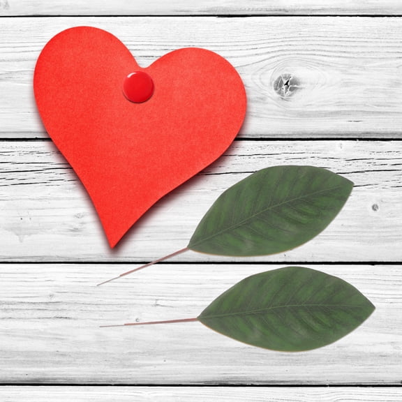 Worgeous  10 Pcs Magnolia Emerald Green Corsage Wedding Decor Decoration