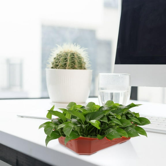 Worgeous  10 Pcs Plastic Flower Pot Planters Succulent Pots Indoor Plants Brown