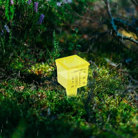 Worgeous 10 Pcs Rain Gauge Gauges Rainfall Measurement Outdoor Yellow