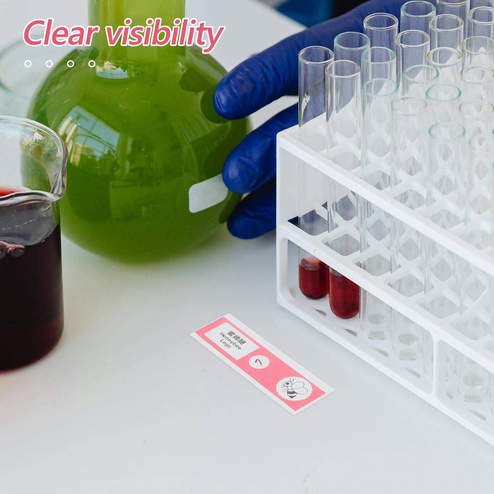 Worgeous 12pcs Prepared Microscope Slides For Adults And Kids Insects ...