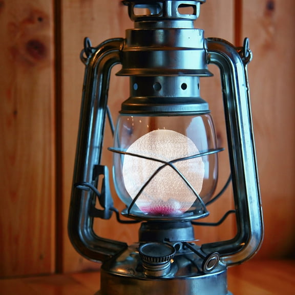 Worgeous 15Pcs Gauze Mesh Lantern Mantles for Gas Lamps Hiking Mountaineering