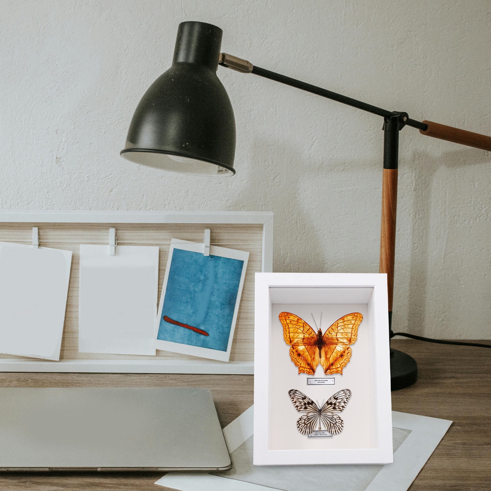 Worgeous 1Pack Rectangular Shadow Box for Artists and Specimen Board 16 ...