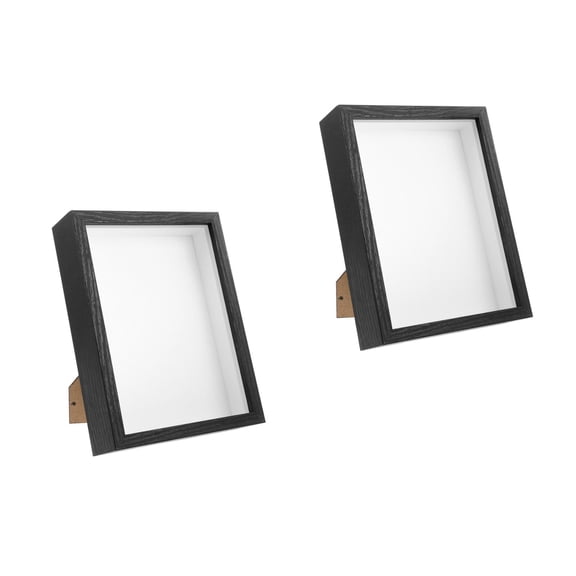 Worgeous 2 Count Insect Specimen Frame Butterfly Photo Table