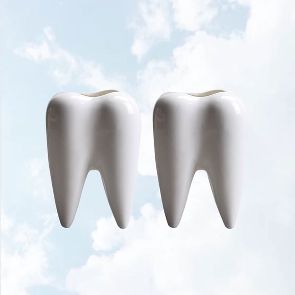 Worgeous  2 Pcs Ceramic Flowerpot Indoor Plant Succulent Planters White