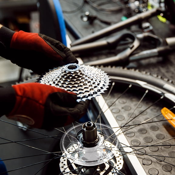 Worgeous 2 Pcs Flywheel Guard Freewheels Spoke Protector Cycling Bicycles