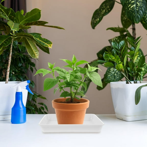 Worgeous 2 Pcs Square Planter Tray Dish Trays Succulent Plants Pots Indoor Planters White