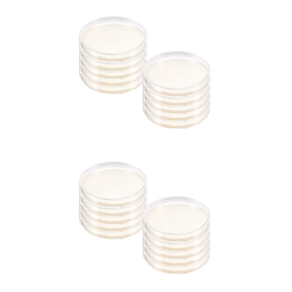 Worgeous 20 pcs Agar Plates Portable Agar Petri Dishes Science Projects Prepoured Agar Plates for Laboratory