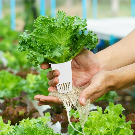 Worgeous 30pcs White PE Culture Pots for Planting Tough Durable Gardening Supply with Drainage