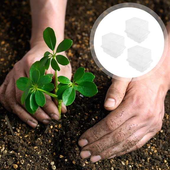 FONDOTIN 3Pcs Plant Germination Container White Plastic with Cover Multi-Hole Design for Efficient Planting