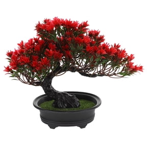 WHAMVOX Zen Style Mini Bonsai Pine Tree Decorative Set 3 Pieces for Home Office Desk Decor