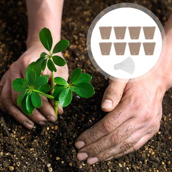 Phenofice Planter Cup Pulp 40Pcs 3.1x3.1x3.1in For Plant Cultivation