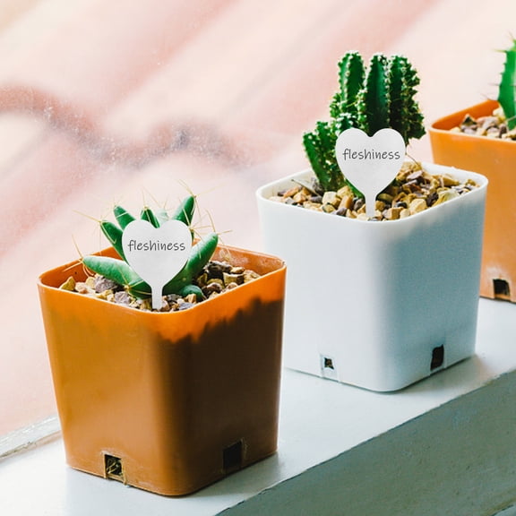 Worgeous 50 Pcs Fancy Plant Signs Label Steel Labels Tabs Plants Silver