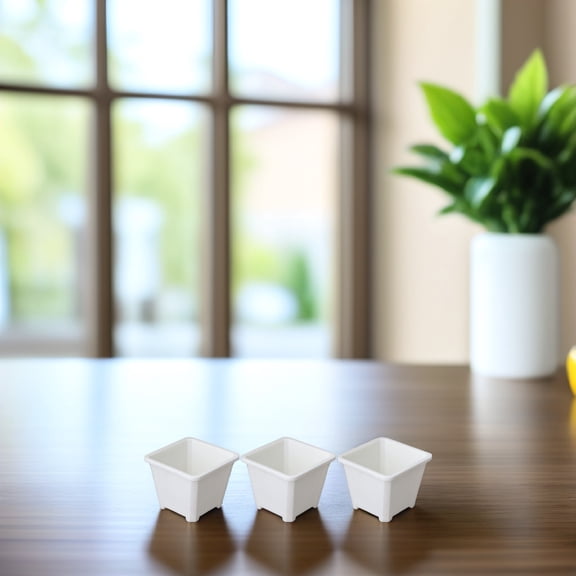 Worgeous 6 Pcs Indoor Plant Succulent Planters Flower Pot Miss White